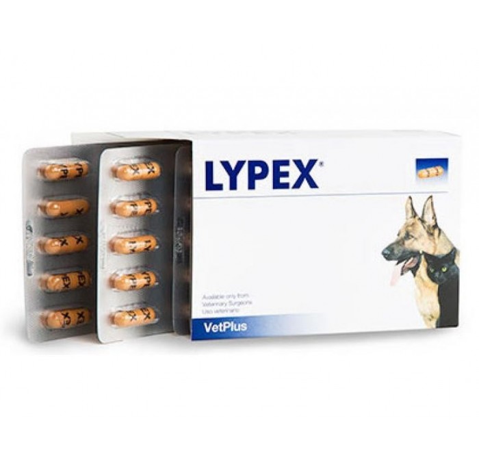 Lypex Perros y Gatos Vetplus, 60 cápsulas