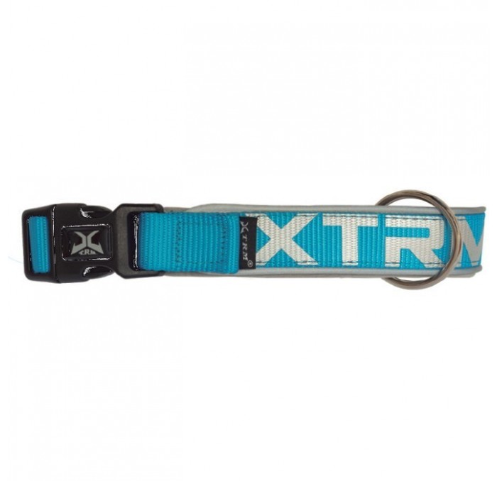 Collar Perros Azul X-Trm Neon Flash