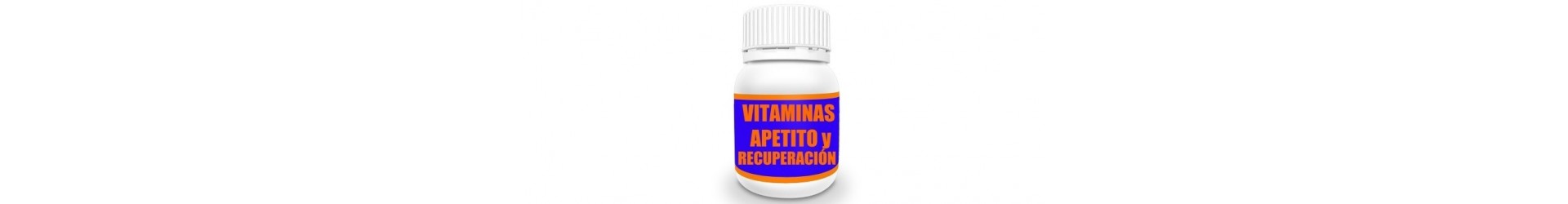 Vitaminas, apetito y recuperación - MundoHuella.com