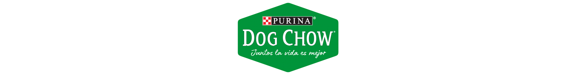 Dog Chow Pienso Perros